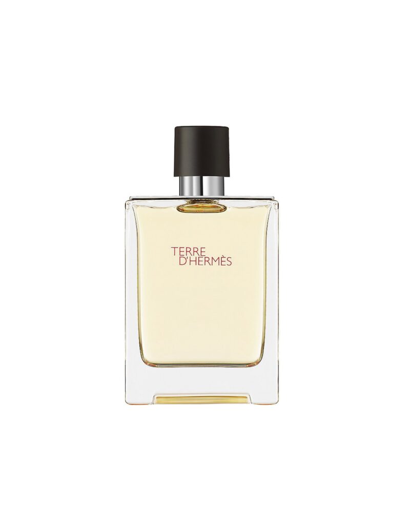 Hermes Terre D'hermes Eau De Toilette Spray 100ml