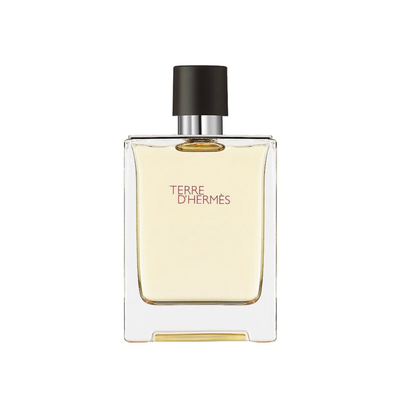 Hermes Terre D'hermes Eau De Toilette Spray 100ml